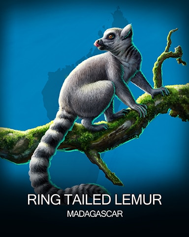 Thousand Island Solitaire HD Ring Tailed Lemur National Animals Badge