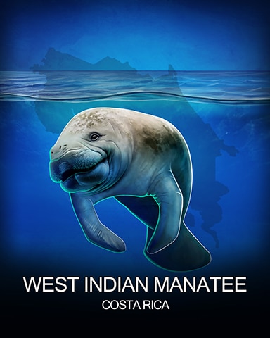 Jigsaw Treasure Hunter HD West Indian Manatee National Animals Badge