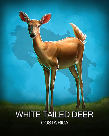 Jungle Gin HD White Tailed Deer National Animals Badge