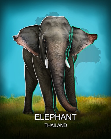 Mahjong Safari HD Elephant National Animals Badge