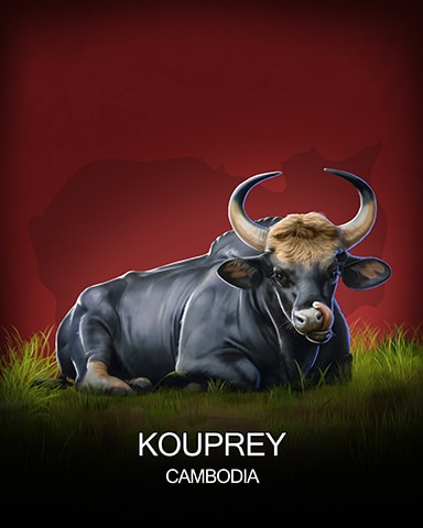 Mahjong Safari HD Kouprey National Animals Badge