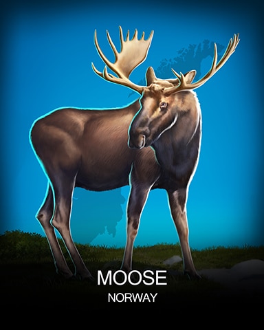 Rainy Day Spider Solitaire HD Moose National Animals Badge