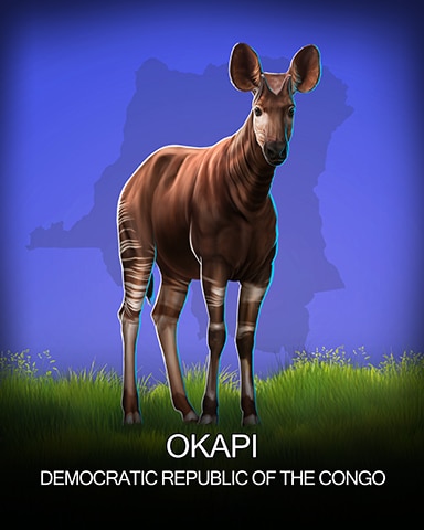 World Class Solitaire HD Okapi National Animals Badge