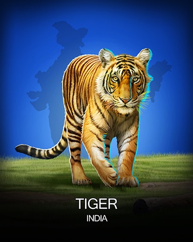 Sweet Tooth Town Tiger National Animals Badge