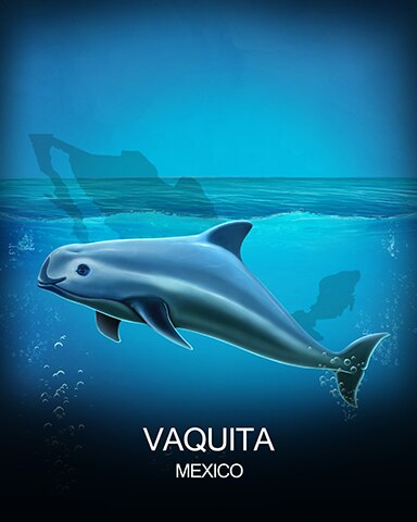 World Class Solitaire HD Vaquita National Animals Badge