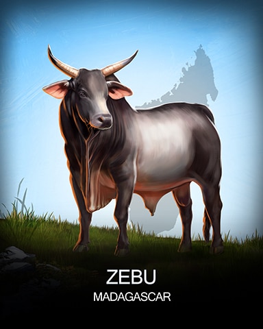 First Class Solitaire HD Zebu National Animals Badge