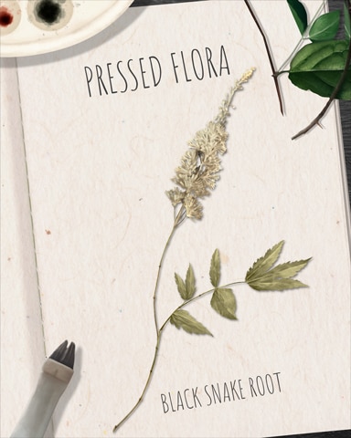 Word Whomp HD Black Snake Root Pressed Flora Badge