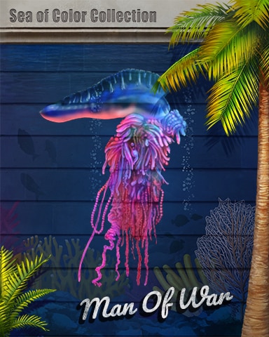 Man of War Sea of Color Badge - StoryQuest