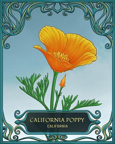 Jungle Gin HD California State Flowers Badge