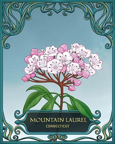 Word Whomp HD Connecticut State Flowers Badge