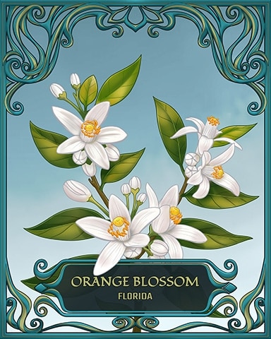 Wheel of Fortune: Pogo Edition Florida State Flowers Badge