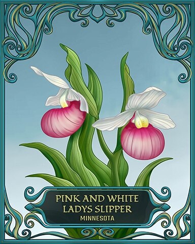 World Class Solitaire HD Minnesota State Flowers Badge