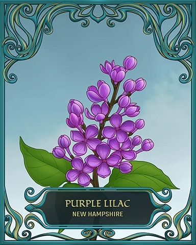 Canasta HD New Hampshire State Flowers Badge