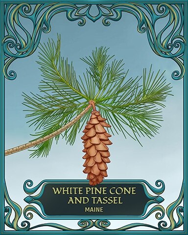 Quinn's Aquarium Maine State Flowers Badge