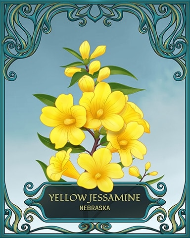 World Class Solitaire HD South Carolina State Flowers Badge