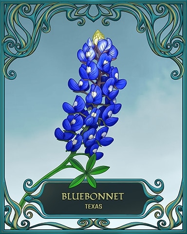 Word Whomp HD Texas State Flowers Badge