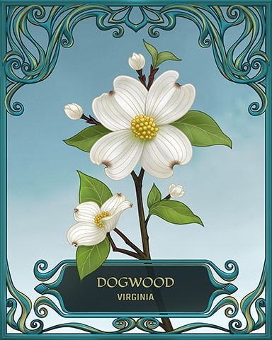 Thousand Island Solitaire HD Virginia State Flowers Badge