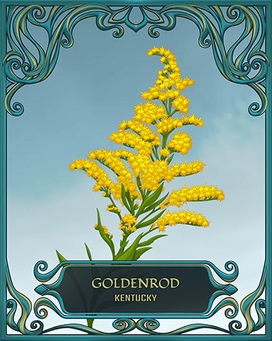 Aces Up! HD Kentucky State Flowers Badge