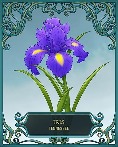 Rainy Day Spider Solitaire HD Tennessee State Flowers Badge