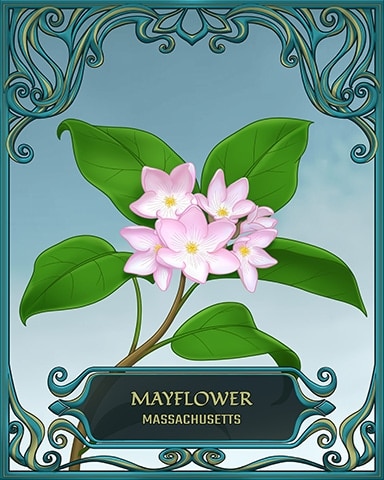 Jungle Gin HD Massachusetts State Flowers Badge