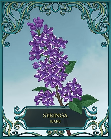 Tri-Peaks Solitaire HD Idaho State Flowers Badge