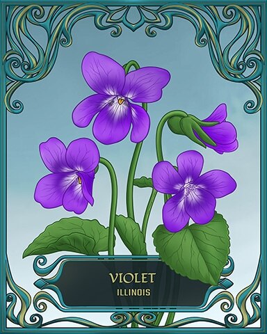Canasta HD Illinois State Flowers Badge
