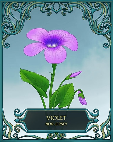 Quinn's Aquarium New Jersey State Flowers Badge