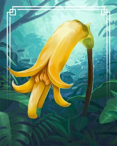 Ohe Naupaka Tropical Flowers Badge - World Class Solitaire HD