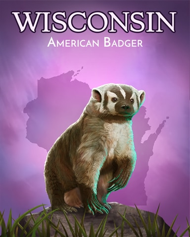 Jungle Gin HD American Badger Wild America Badge