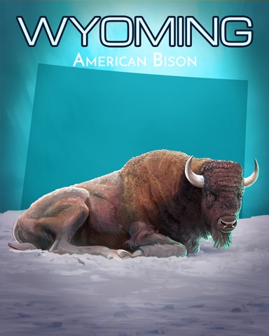 First Class Solitaire HD Wyoming American Bison Wild America Badge