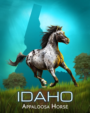 Mahjong Garden HD Appaloosa Horse Wild America Badge