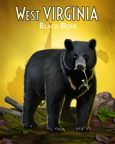 Mahjong Safari HD West Virginia Black Bear Wild America Badge