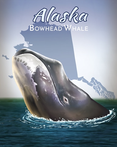 Claire Hart: Secret in the Shadows Bowhead Whale Wild America Badge