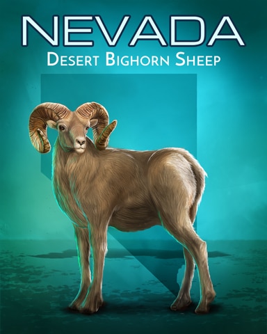 First Class Solitaire HD Desert Bighorn Sheep Wild America Badge