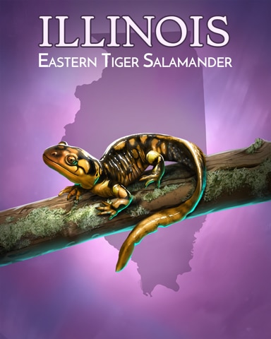 Rainy Day Spider Solitaire HD Eastern Tiger Salamander Wild America Badge