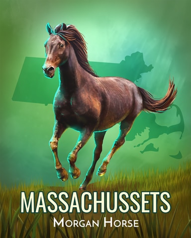 Claire Hart: Secret in the Shadows Morgan Horse Wild America Badge