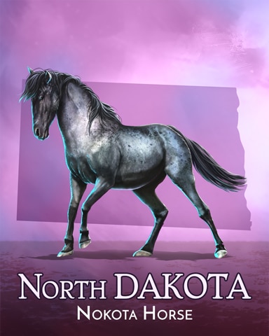 Spades HD Nakota Horse Wild America Badge