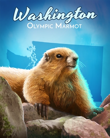 Word Whomp HD Olympic Marmot Wild America Badge