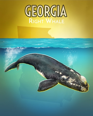 World Class Solitaire HD Right Whale Wild America Badge