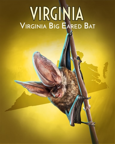 Pogo Slots Virginia Big-Eared Bat Wild America Badge