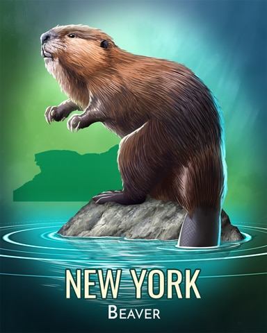 Word Whomp HD Beaver Wild America Badge