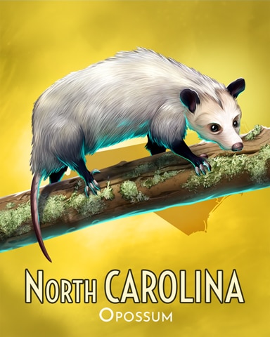 Mahjong Safari HD Opossum Wild America Badge