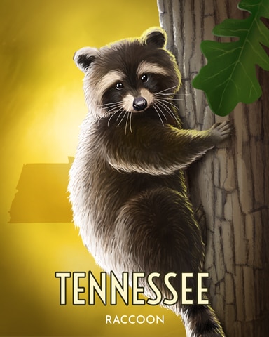 Spades HD Raccoon Wild America Badge