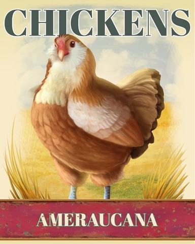 Canasta HD Ameraucana Chickens Badge