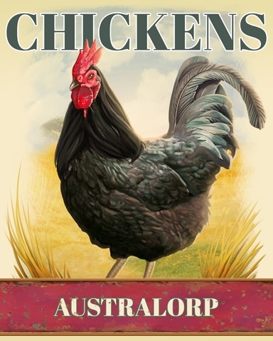 First Class Solitaire HD Australorp Chickens Badge