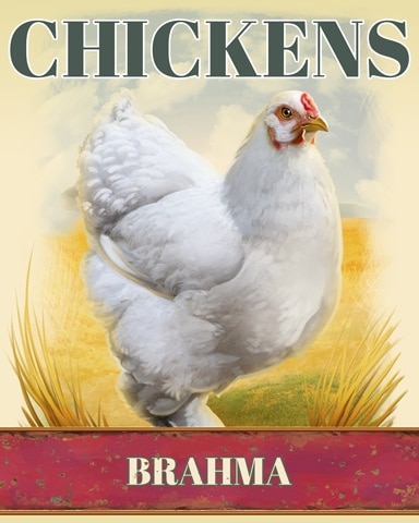Poppit! Bingo Brahma Chickens Badge