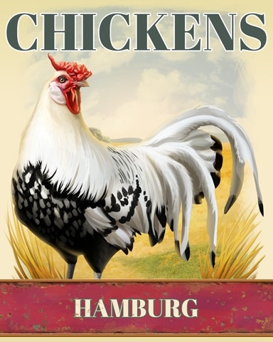 Word Whomp HD Hamburg Chickens Badge