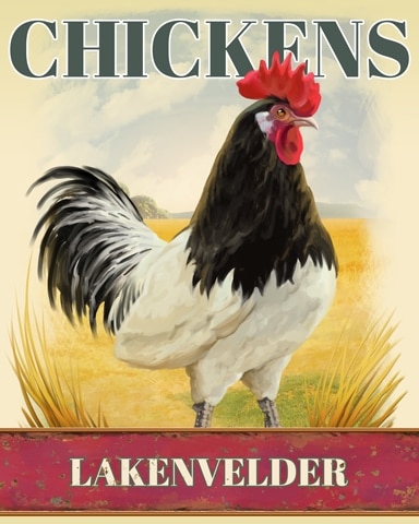 Canasta HD Lakenvelder Chickens Badge