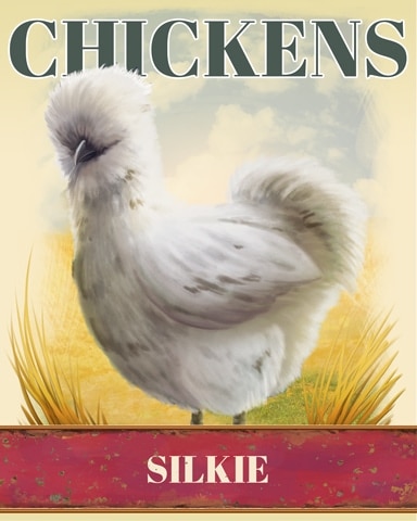 Canasta HD Silkie Chickens Badge