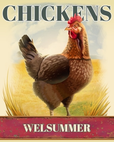 First Class Solitaire HD Welsummer Chickens Badge